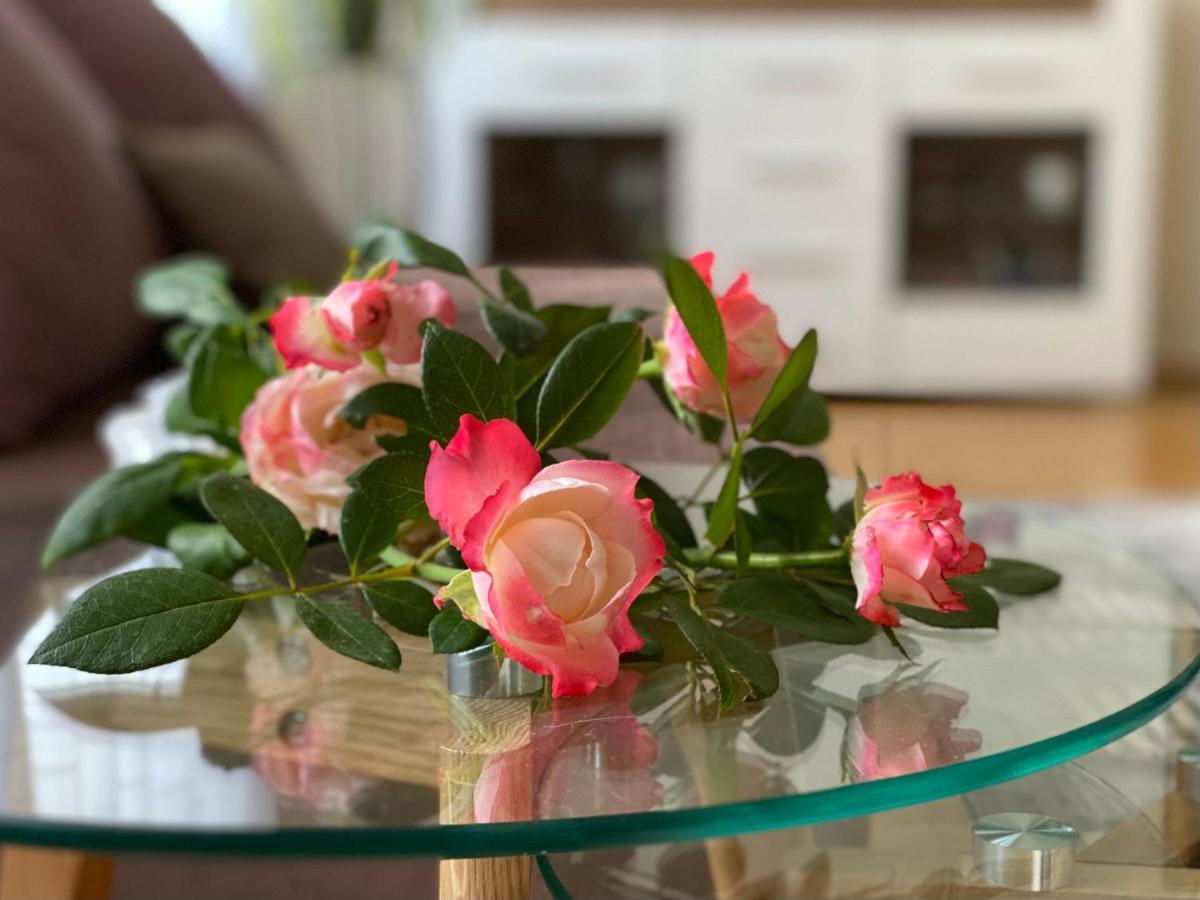 Teresa Apartment Budapest Eksteriør bilde